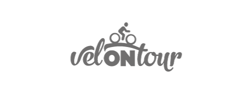 Logo velontour grau
