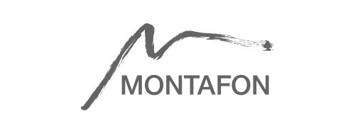 Logo montafon grau