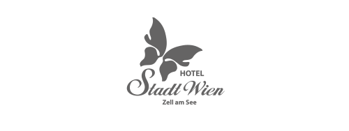 Logo stadwien grau