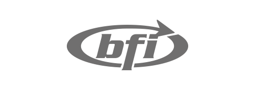 Logo bfi grau