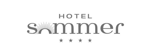 Logo SOmmer grau